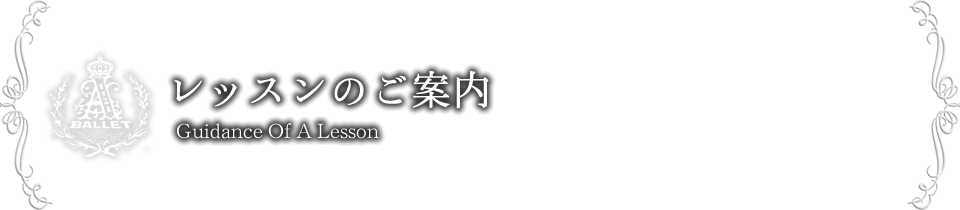 レッスンのご案内